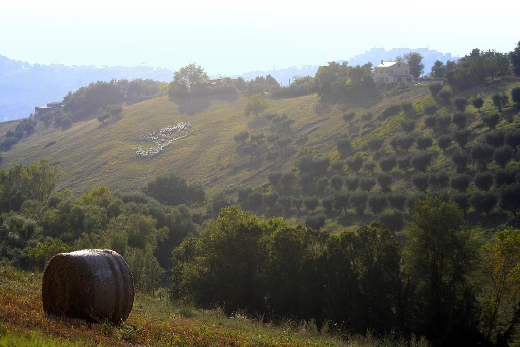 Hotel Agriturismo Fara Montegiorgio Exteriér fotografie